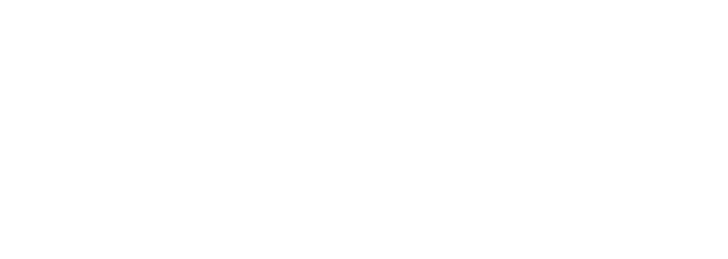 Logo Seleccion Z Blanco